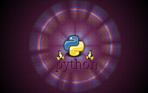 6 Python Programming, python programmer HD wallpaper
