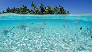 sea pc HD wallpaper