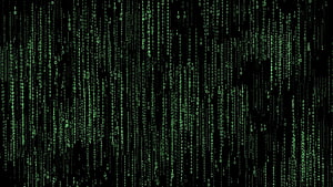 Binary Code, matrix binary HD wallpaper