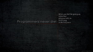 4 Java Programming, coding motivation HD wallpaper