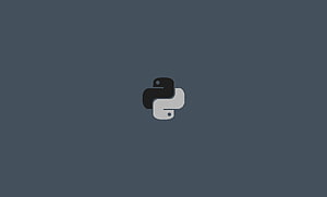 Pitone minimalista: pitone, pitoni Sfondo HD