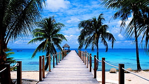 Summer Beach, summer time beach HD wallpaper
