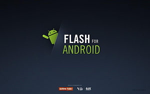 Android Developer HD wallpaper