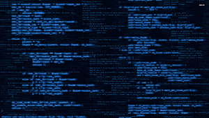 Programación informática, programador fondo de pantalla