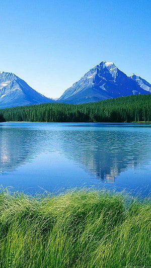 High Def : Full Samsung Galaxy S, nature for samsung galaxy HD phone wallpaper