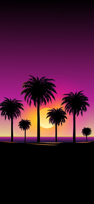 Beach sunset with palm silhouettes, sunset HD phone wallpaper