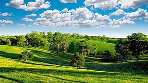 SOOTHING PEACE OF MIND NATURE : MEADOWS: Peace of Mind, peace green HD wallpaper