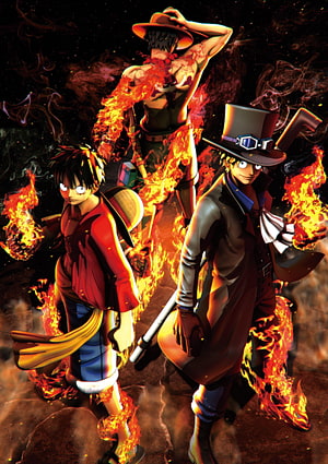 One Piece Vertical About Anime, one peace HD phone wallpaper