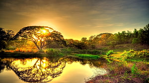 For PC Nature HD wallpaper