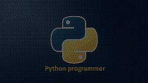 Programador de Python fondo de pantalla