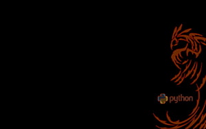 Best 5 Python on Hip, python programming HD wallpaper