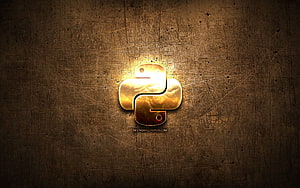 Logotipo dorado de Python, lenguaje de programación, de metal marrón, creativo, logotipo de Python, signos de lenguaje de programación, Python con resolución 2880x1800. Alta calidad, logotipo de fondo de pantalla