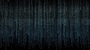 Binary Code Group, programmer HD wallpaper