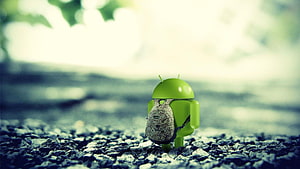 Développeur Android Fond d'écran HD